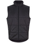 Pro RTX Pro Bodywarmer